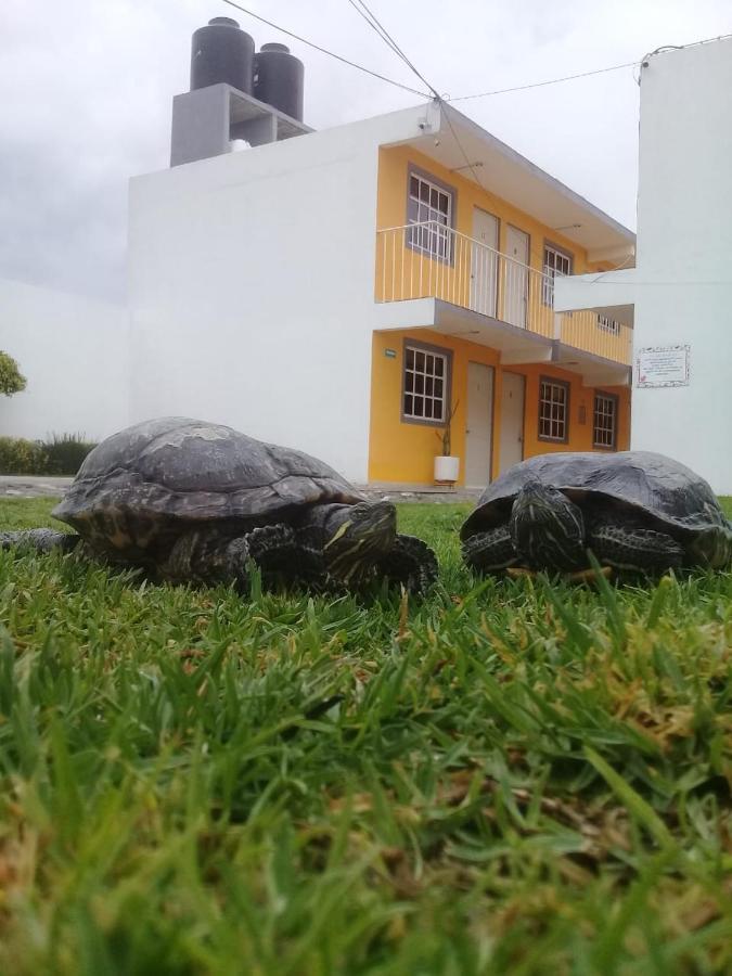 Posada Del Angel Pachuca Ngoại thất bức ảnh
